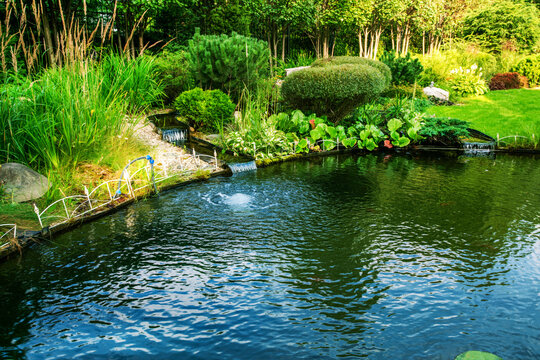 Awe Water Garden next to cottage in prosperous village next to Khimki in  Moscow Oblast