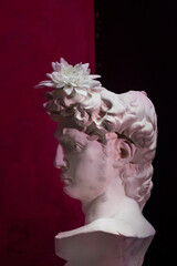 Closeup cast plaster statue: head of David with white flower; on pink and black background