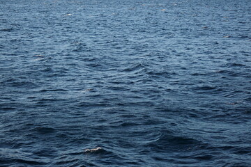 Norwegian Outdoors Stock 2024.01.07 Waves 0001