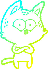 cold gradient line drawing cartoon cat
