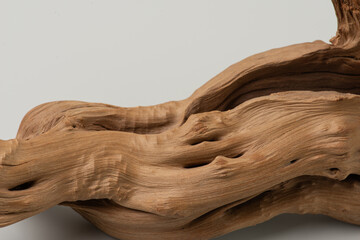 tree root on white isolated background © Berzyk