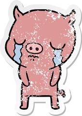 distressed sticker of a cartoon pig crying