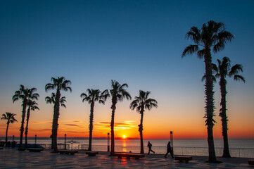 Sunset on the beach among palm trees in Antalya.