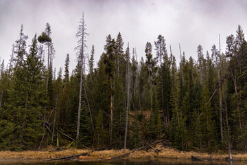 Dramatic View of Yellowstone National Park in the Winter with Some Snowfall