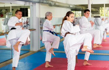 Fototapeta na wymiar Group of men and women in kimono performing kata in gym during training