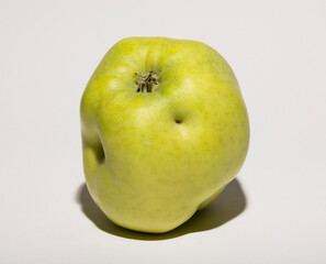 Ugly mutant apple. The fruit is yellow on a white background.