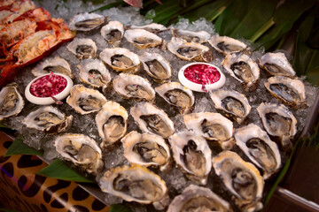 Fresh oysters on ice at the fish market