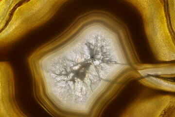 Naklejka premium メノウの断面のクローズアップ画像