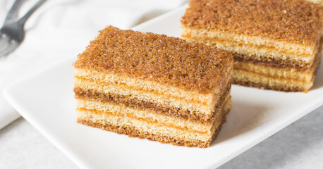 A slice of vanilla cake with jam filling, thin layers of vanilla and chocolate cake with jam filling on a white background