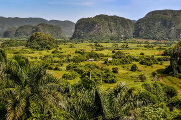Beautiful landscape of the Viñales Valley, a municipality in western Cuba
