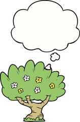 cartoon tree and thought bubble