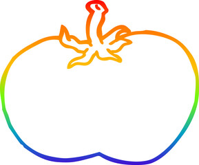 rainbow gradient line drawing cartoon tomato