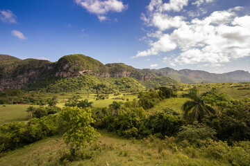 Fototapeta na wymiar Naturaleza salvaje de Viñales, Cuba, para fondo de pantalla