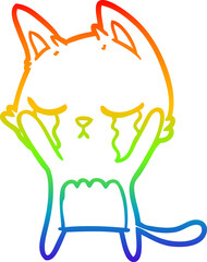rainbow gradient line drawing crying cartoon cat