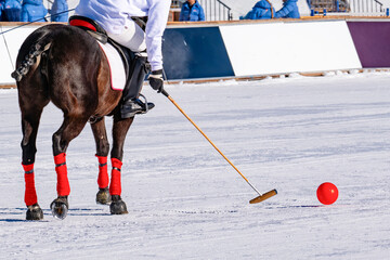 Detail of snow polo game