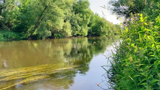 Saale River landscape in summer season, in the town of Jena, Germany