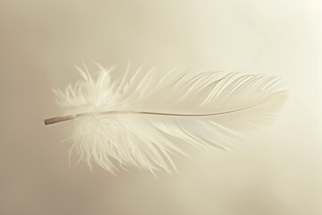 Ethereal white feather on a beige background, epitomizing lightness and purity.

