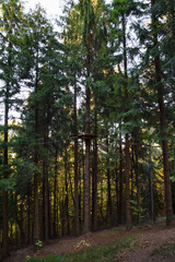 Rope-way in adventure park. Empty extreme rope park with ziplines, routes and games in real forest in mountains