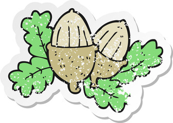 retro distressed sticker of a cartoon acorns