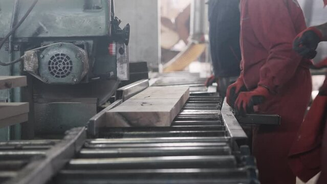Industrial carpenter worker operating wood cutting machine
