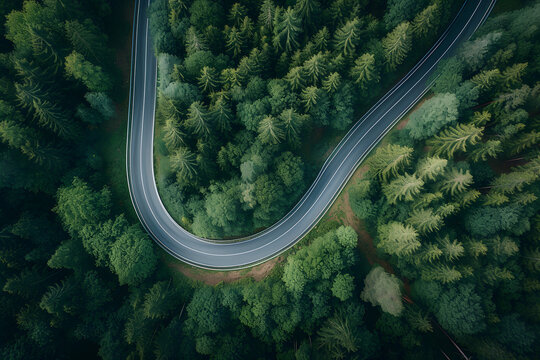 Scenic Winding Road Through Forest