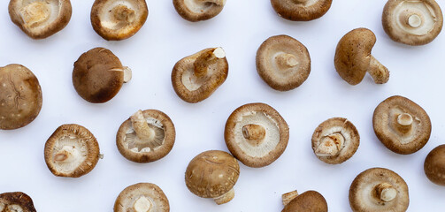 Fresh shiitake mushrooms on white background.