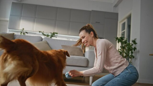 Woman have fun dog playing together home. Playful fluffy pet catching toy ball