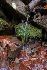 Flowing trickle of water from stone and moss.