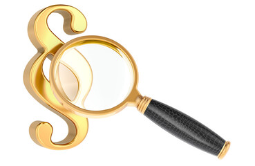 Section symbol with magnifying glass, 3D rendering isolated on transparent background