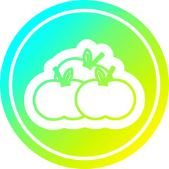 pile of apples circular in cold gradient spectrum