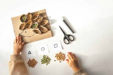 Montessori and Sensory Development, A child plays with natural materials and sorts cereals