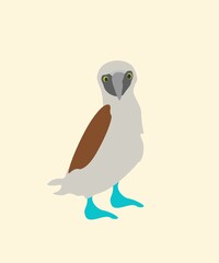 The great Blue footed booby. Vector illustration. It can be used for various options such as posters, banners, notebooks and more.