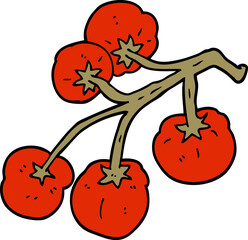 cartoon doodle tomatoes on vine