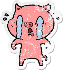 distressed sticker of a crying pig cartoon