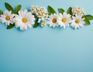 Summer flower arrangement. of white daisy flowers on blue pastel background. For cards, invitations and design. Flat layout, top view, copy space