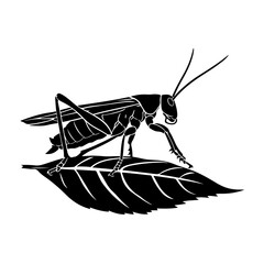 Grasshoper On A Leaf Logo Monochrome Design Style
