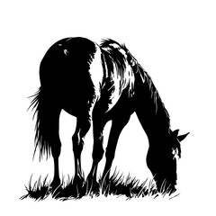 Grazing Horse Logo Monochrome Design Style