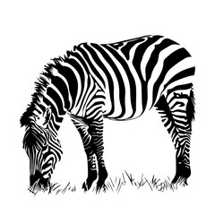 Fototapeta na wymiar Grazing Zebra Logo Monochrome Design Style