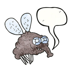 speech bubble textured cartoon fly