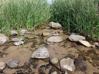 stones in the pond