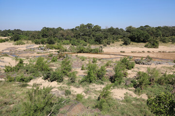 Afrikanischer Busch - Krügerpark - Timbavati River / African Bush - Kruger Park - Timbavati River /