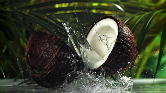 The coconut breaks in half with splashes. Filmed on a high-speed camera at 1000 fps. High quality FullHD footage