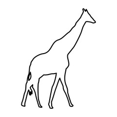 Giraffe Lines Style Icon Vector 