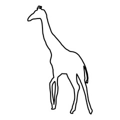 Giraffe Lines Style Icon Vector 