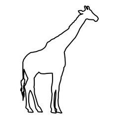 Giraffe Lines Style Icon Vector 