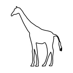 Giraffe Lines Style Icon Vector 