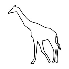 Giraffe Lines Style Icon Vector 