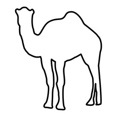 Camel Lines Style Icon Vector 