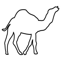 Camel Lines Style Icon Vector 