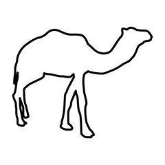 Camel Lines Style Icon Vector 